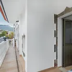 Casa Lola *